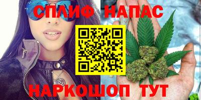 дживик Камышлов