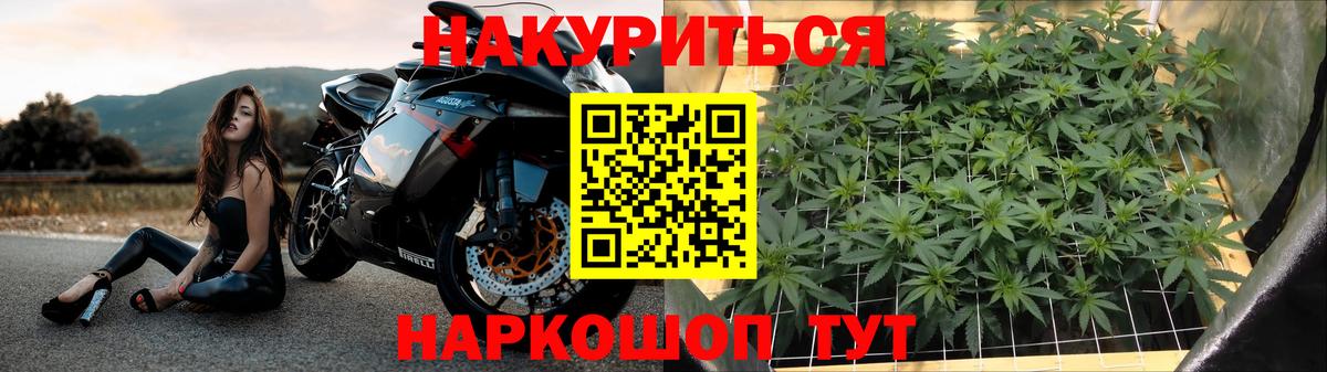 Лениногорск  Шишки марихуана тримм  Каннабис Bruce Banner  Марихуана индика  Вход с VPN 
